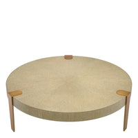 Eichholtz Oxnard Coffee Table in Washed Oak Veneer Brass