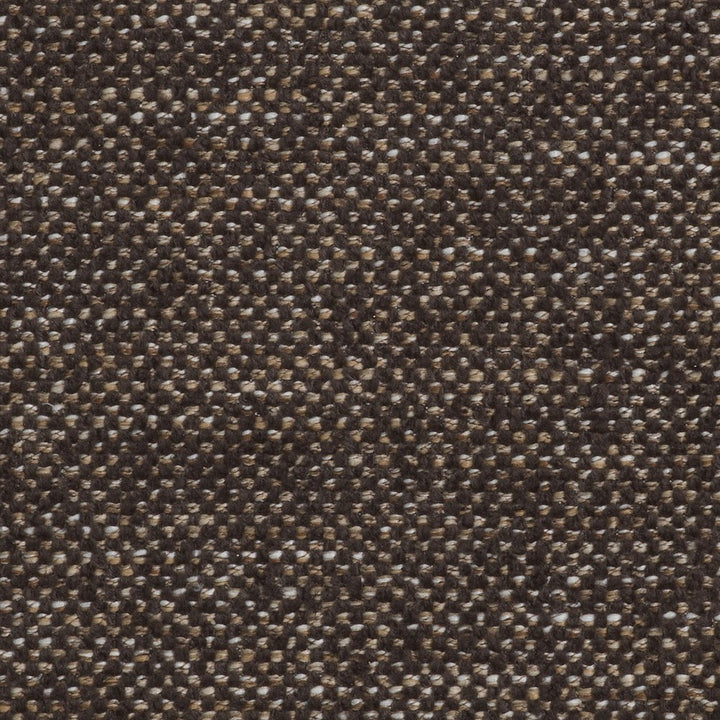 Aiden Dining Chair - Renato Brown
