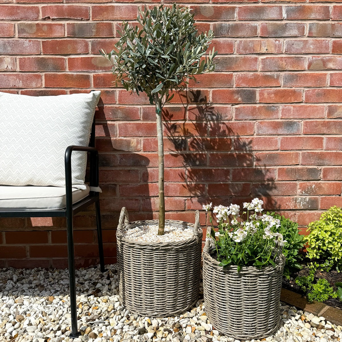 Ivyline Polyrattan Set of Two Lined Planters Natural