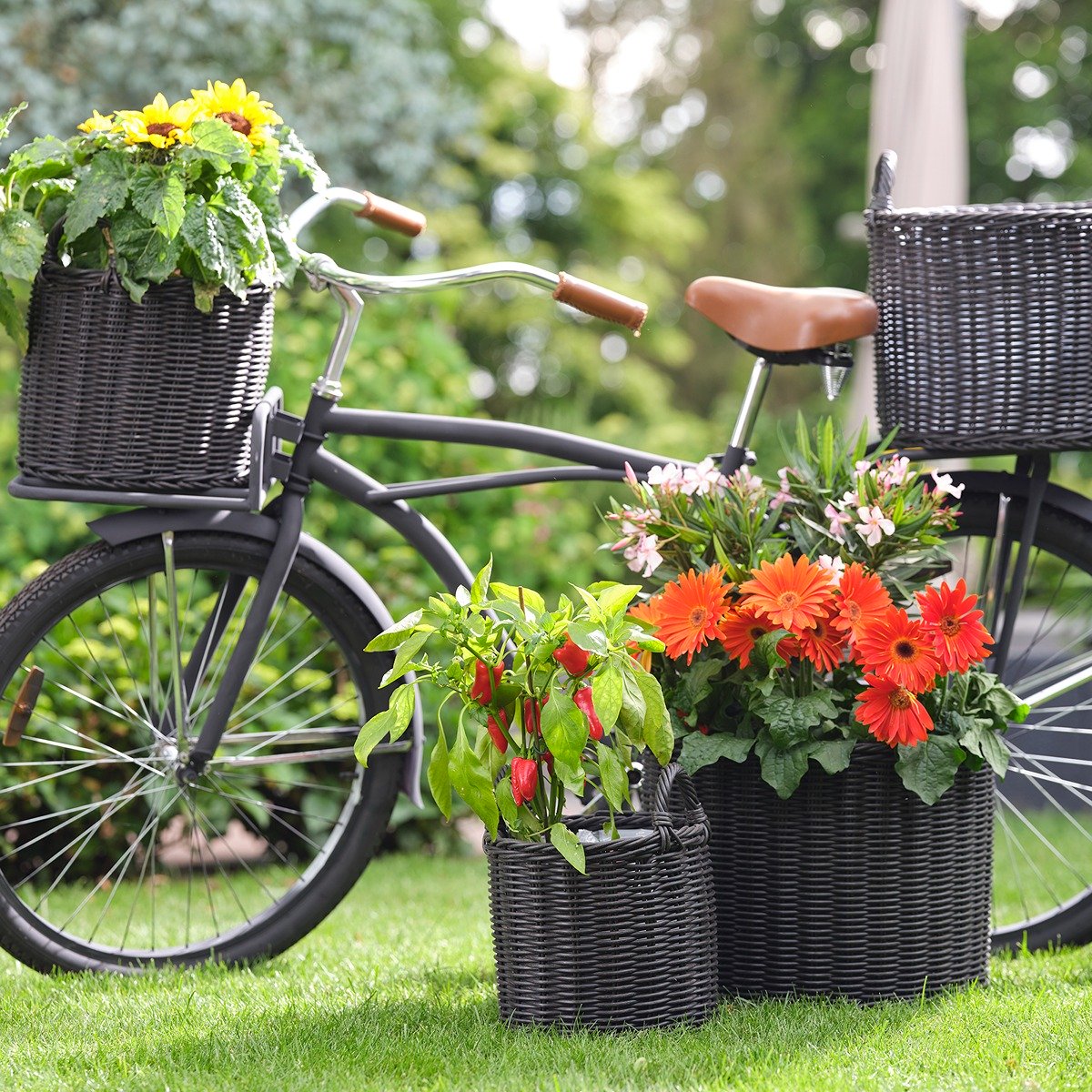 Ivyline Polyrattan Set of Two Lined Planters Willow