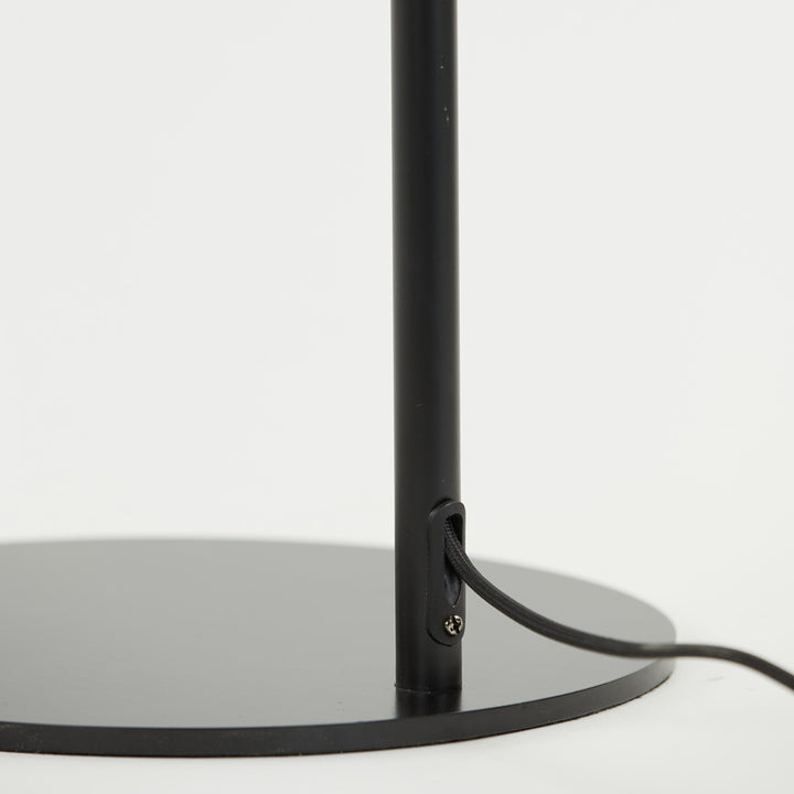 Orion Floor Lamp - Black Light & Living 5