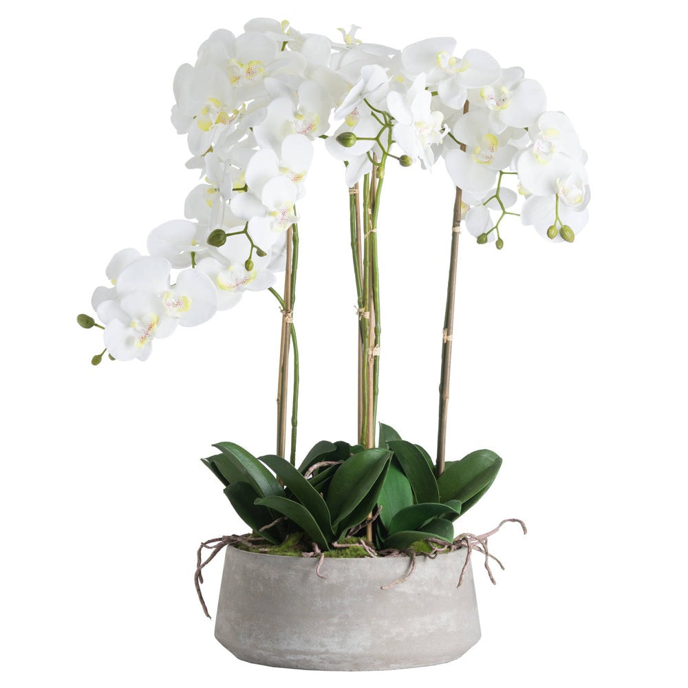 Hill Interiors Large White Orchid In Stone Pot