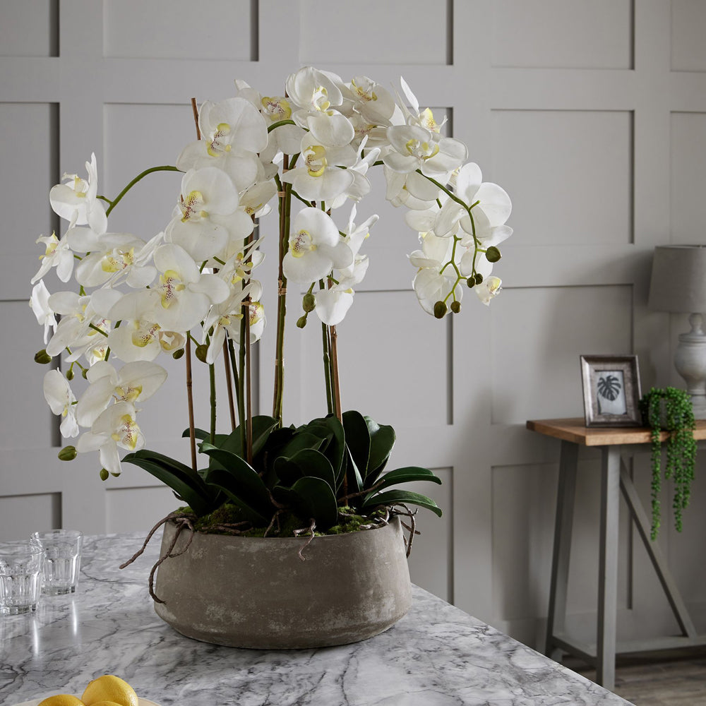 Hill Interiors Large White Orchid In Stone Pot