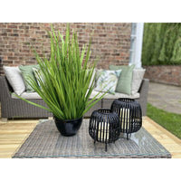 Hill Interiors Rattan Bulbous Lantern in Black