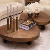 Eichholtz Anabelle Coffee Table in Antique Gold Finish