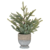 Hill Interiors Garda Pine Tree in Stone Pot