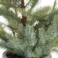 Hill Interiors Garda Pine Tree in Stone Pot