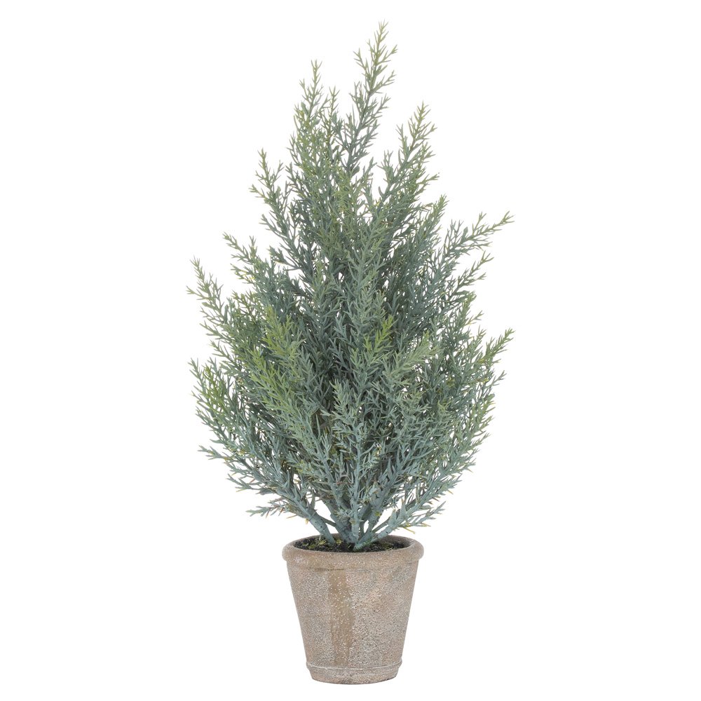 Hill Interiors Squat Fir Tree in Stone Pot