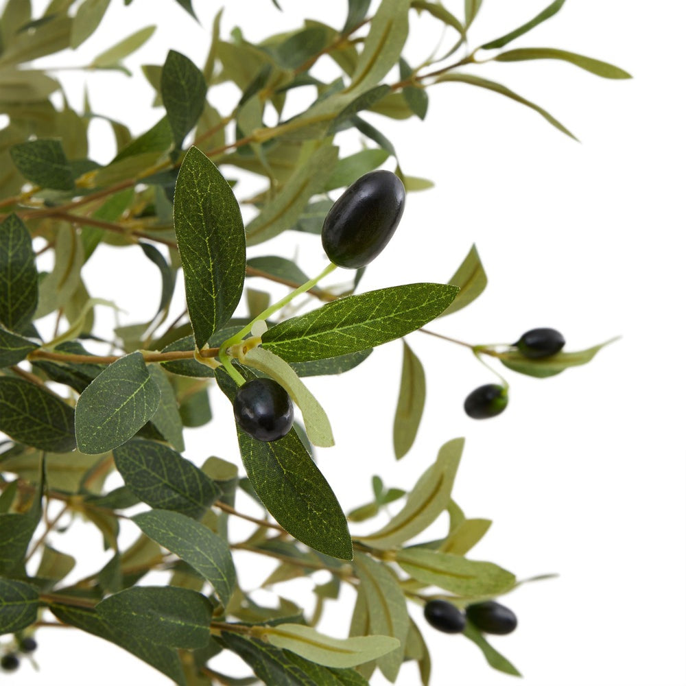 Hill Interiors Calabria Olive Tree