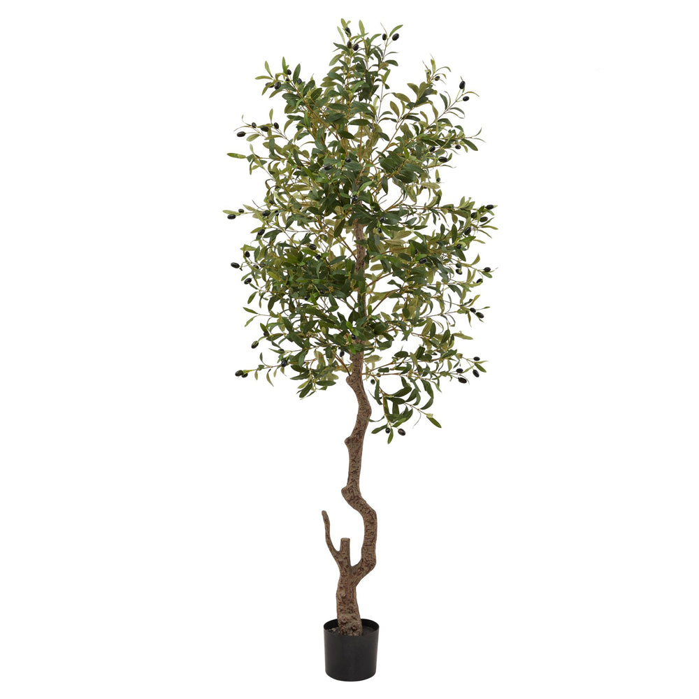 Hill Interiors Calabria Large Olive Tree