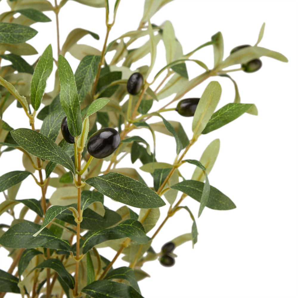 Hill Interiors Calabria Large Olive Tree