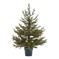 Hill Interiors Potted Natural Pine Tree