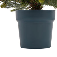 Hill Interiors Potted Natural Pine Tree