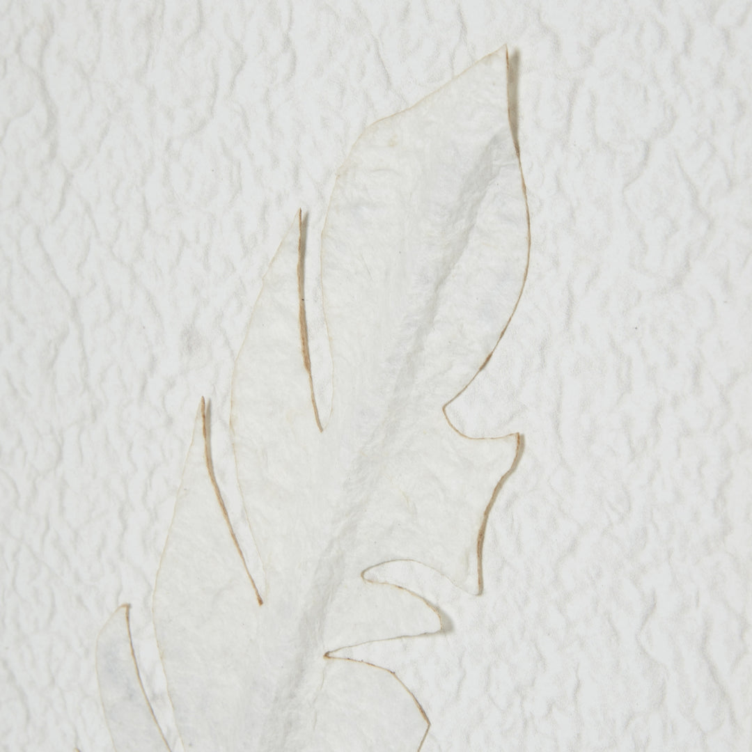 Solli White Feathers Art Mounted in Beaded Frame Hill 3