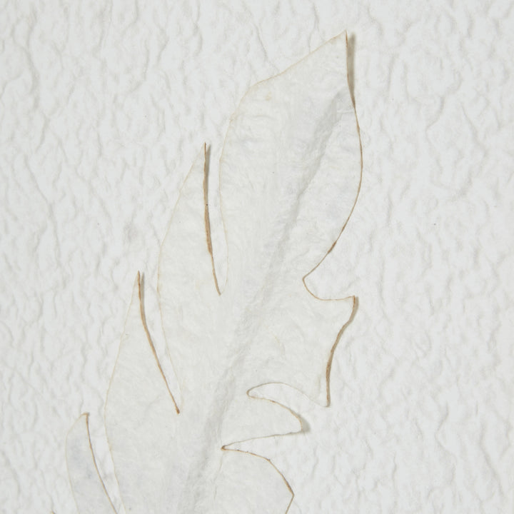 Solli White Feathers Art Mounted in Beaded Frame Hill 3