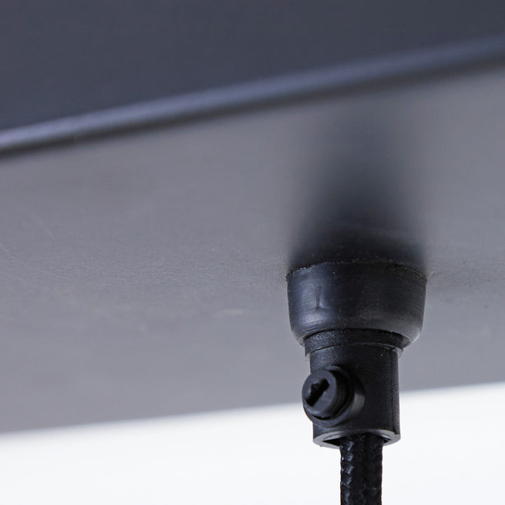 Alvaro 5 Light Pendant Light - Matte Black Light & Living 6