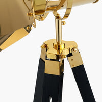 Olivia's Stanley Tripod Floor Lamp in Gold and Black