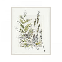 Gallery Interiors 'Royal Fern' Framed Wall Art - 47 x 57cm