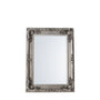 Gallery Interiors Carved Louis Mirror in Silver