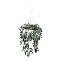 Gallery Interiors Eucalyptus Hanging Wreath