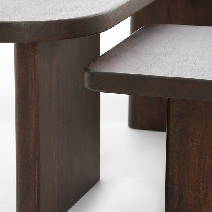 Crato Set of 2 Acacia Wood Coffee Tables - Chocolate Light & Living 10