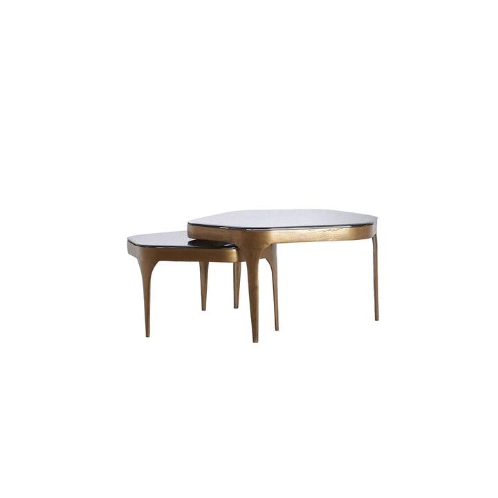 Avi Set of 2 Coffee Tables - Antique Bronze Light & Living 1