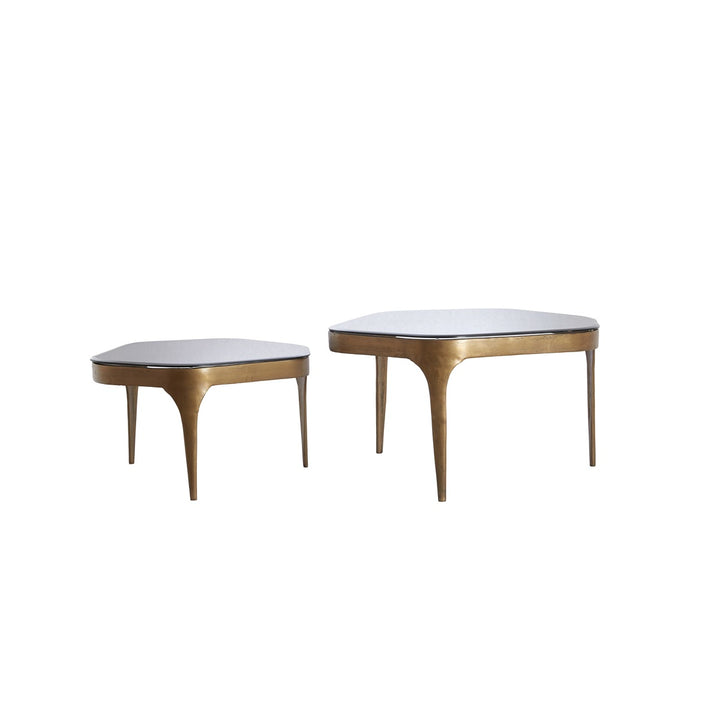 Avi Set of 2 Coffee Tables - Antique Bronze Light & Living 4