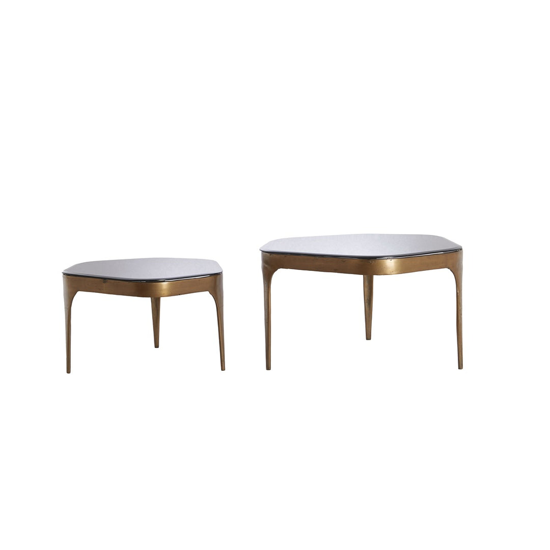 Avi Set of 2 Coffee Tables - Antique Bronze Light & Living 5