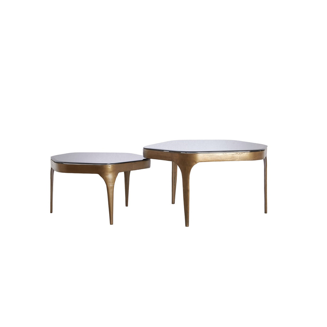 Avi Set of 2 Coffee Tables - Antique Bronze Light & Living 6