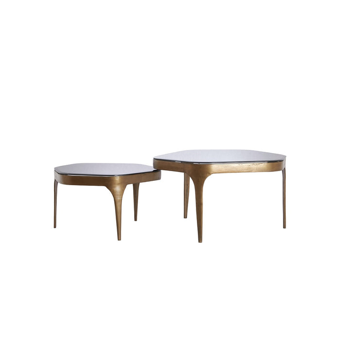 Avi Set of 2 Coffee Tables - Antique Bronze Light & Living 6