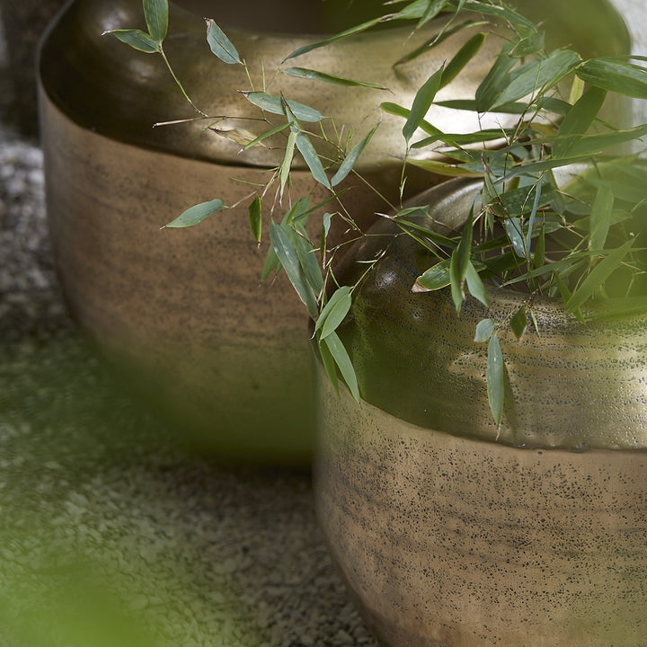 Louie Planter - Antique Gold Light & Living 2