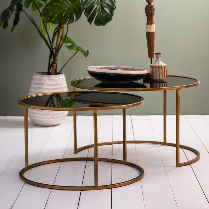 Duarte Set of 2 Round Coffee Tables - Smoked Glass & Gold Light & Living 2