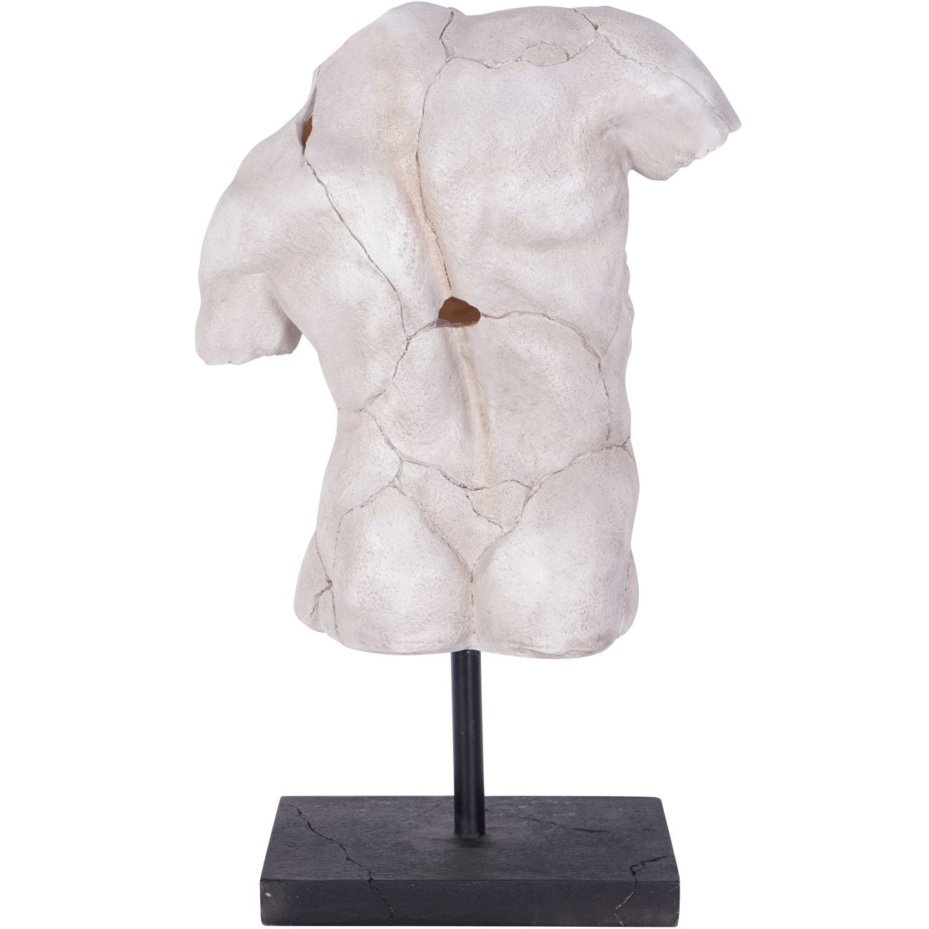 Libra Interiors Male Torso on Stand