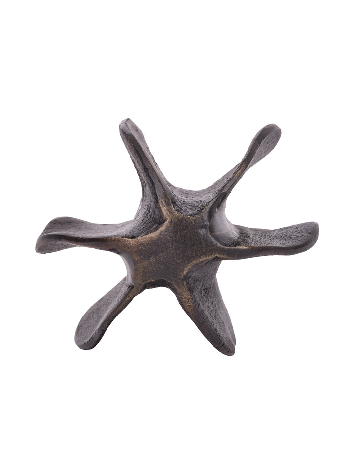 Maris Seed Pod Antique Black Aluminium Sculpture