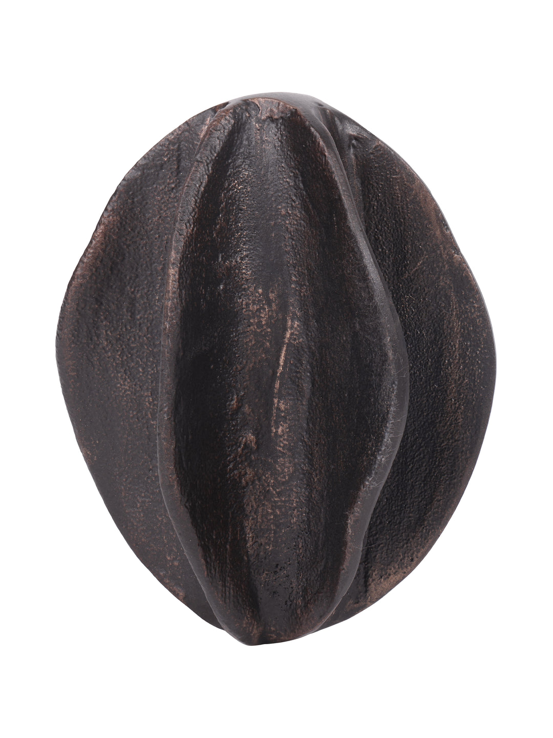 Maris Seed Pod Antique Black Aluminium Sculpture