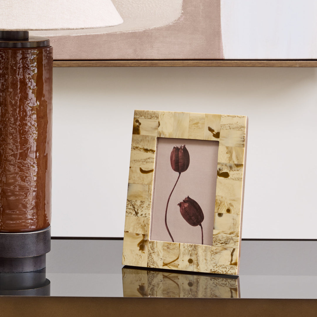 Arden 4x6 Burlwood Resin Photo Frame