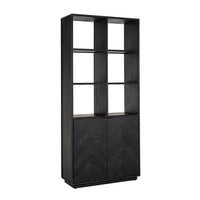 Richmond Blackbone 2 Doors Brushed Gold Bookcase