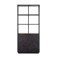 Richmond Blackbone 2 Doors Brushed Gold Bookcase