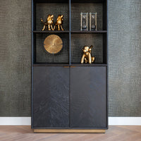 Richmond Blackbone 2 Doors Brushed Gold Bookcase