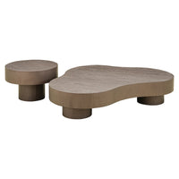 Richmond Interiors Bogor Set of 2 Coffee Tables - Bronze