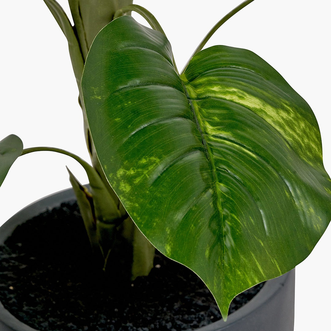 potted elephant ear plant indoor Faux Elephant Ear Plant in Pot