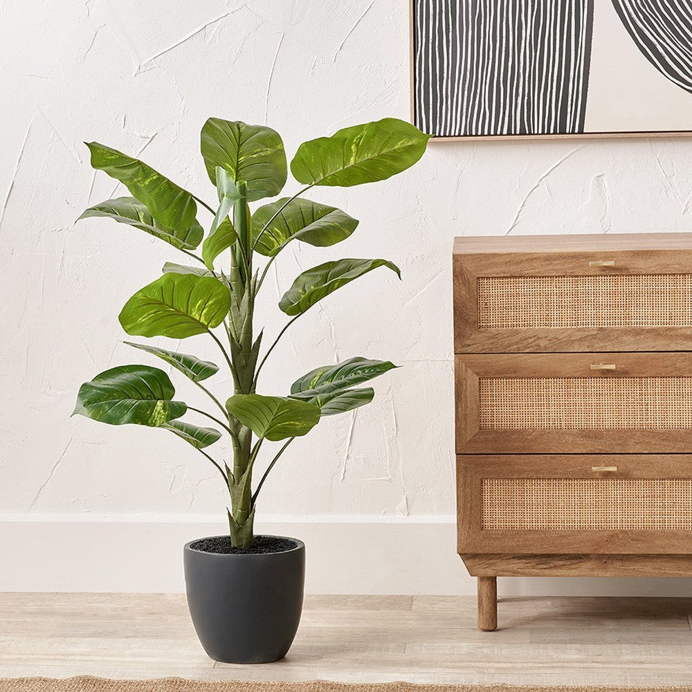 elephant ears plants in pot Faux Elephant Ear Plant in Pot