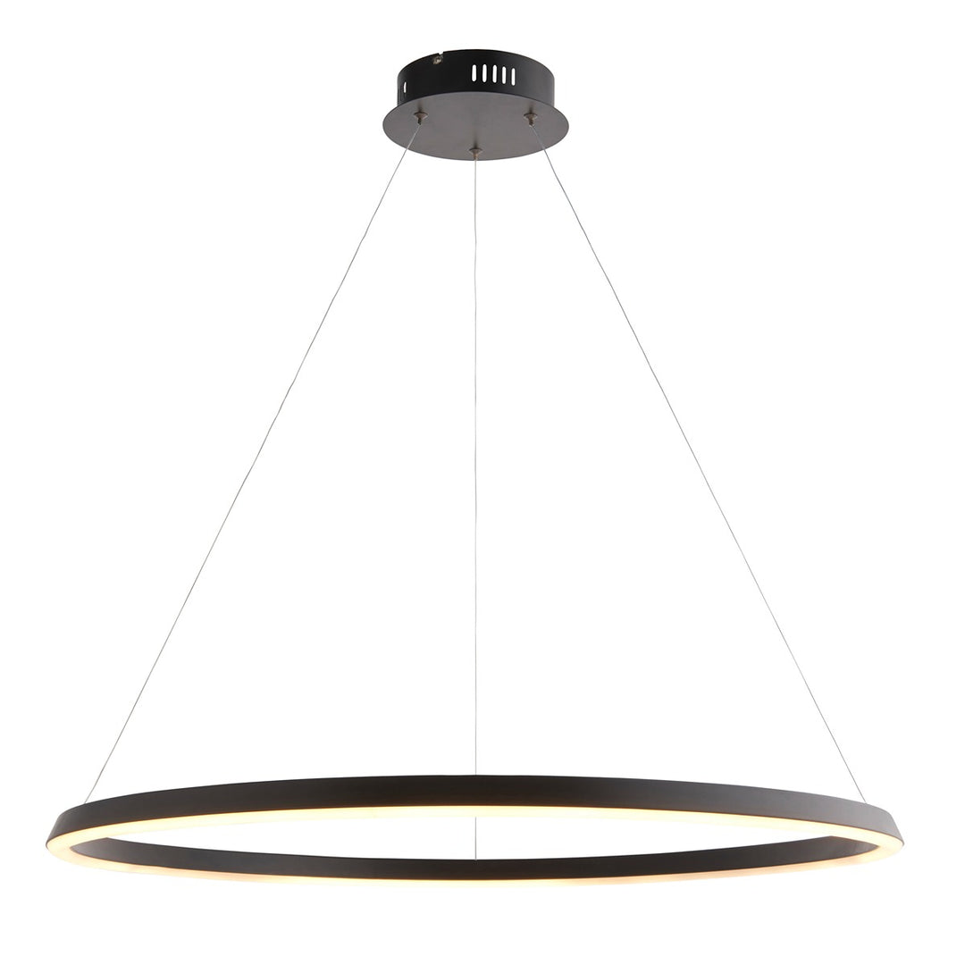 Staten Hanging Circle Pendant Light - Black Endon 1