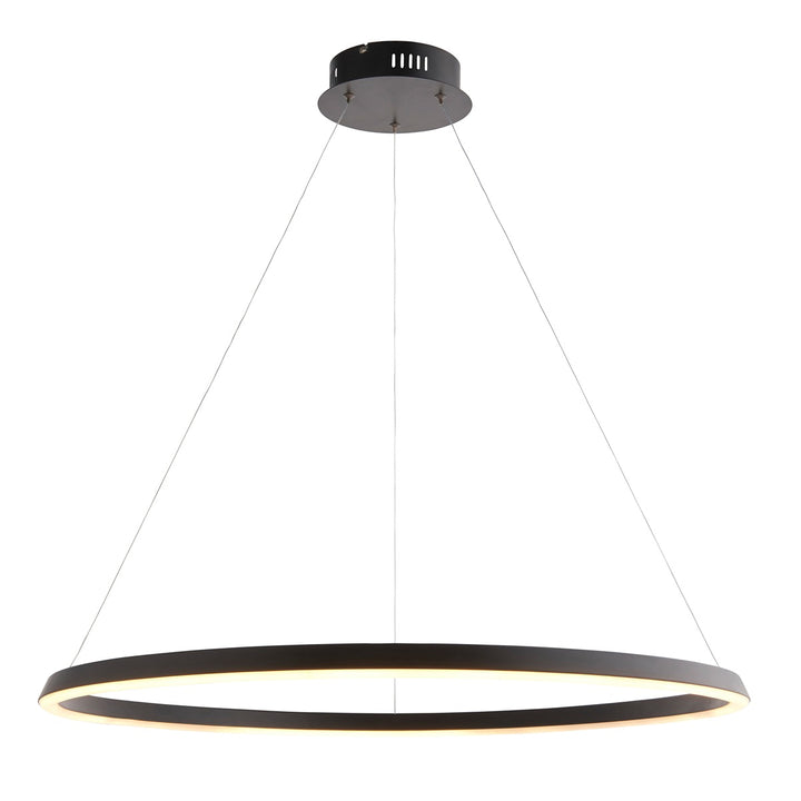Staten Hanging Circle Pendant Light - Black Endon 1