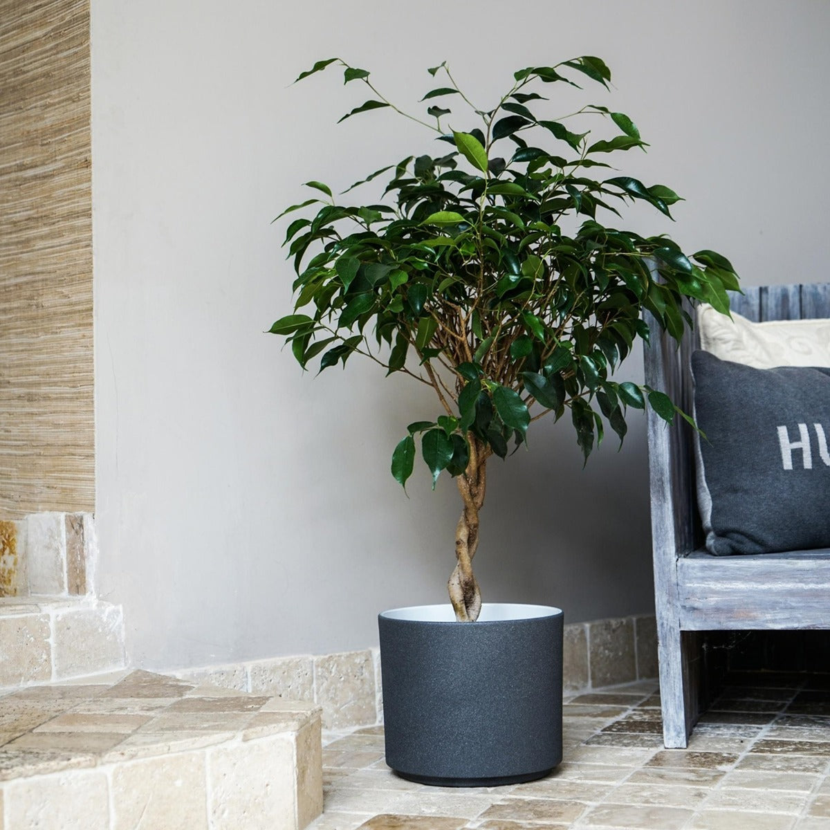 Ivyline Leon Granite Planter