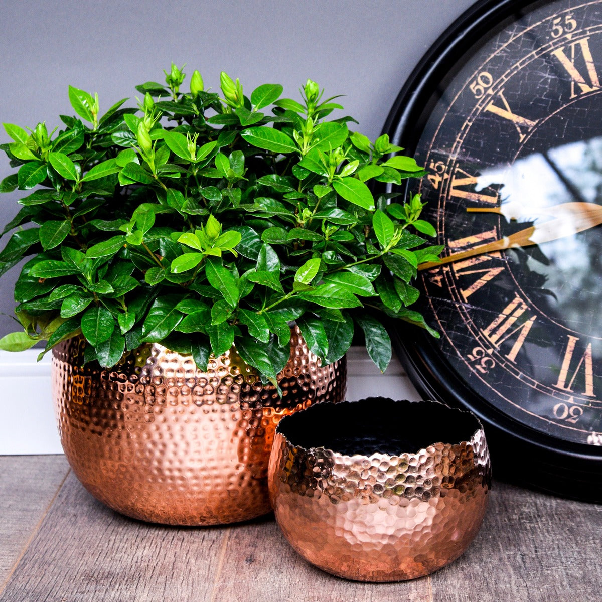 Ivyline Hammered Bowl in Copper & Black