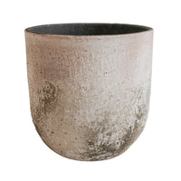 Ivyline Albero Planter