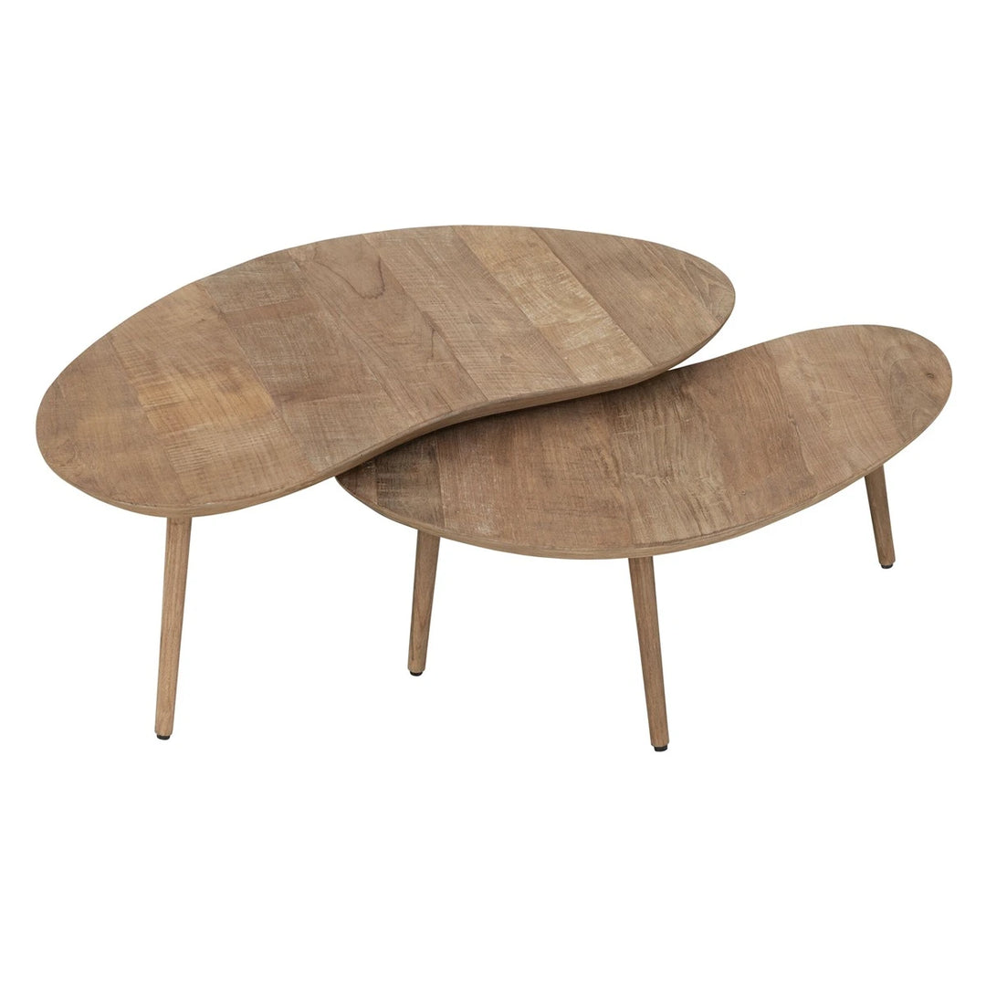 Apollo Set of 2 Coffee Tables