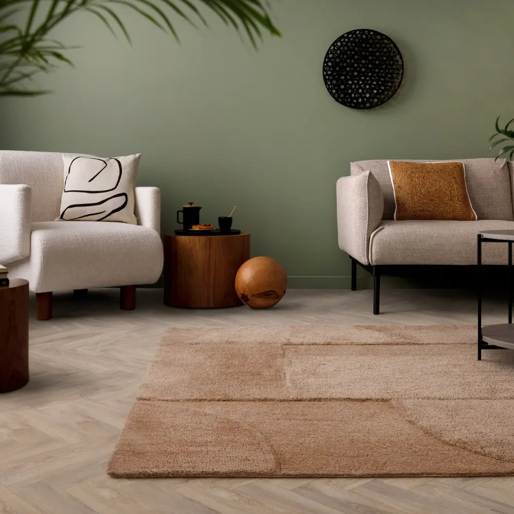 Brown beige rug in a modern living room with sage green walls.