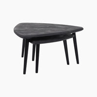 Ivy & Elm Alfie Coffee Tables Set of 2 in Black